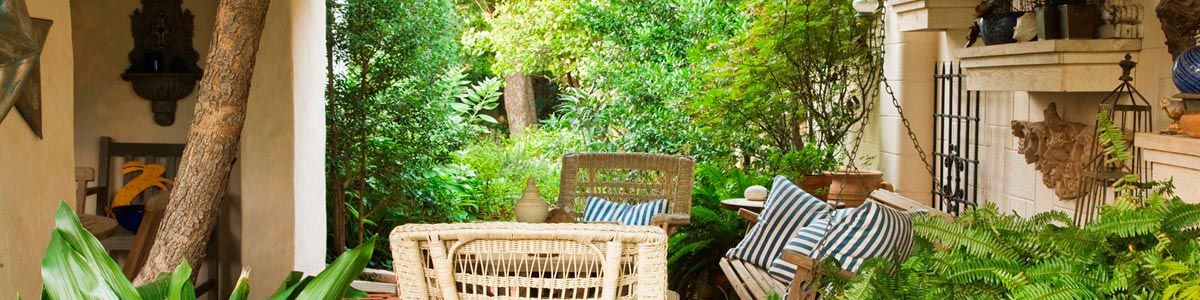 Transform Your Deck Or Patio With These 6 Hardy Plants